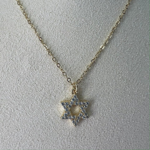 Pave Star of David Esther Necklace